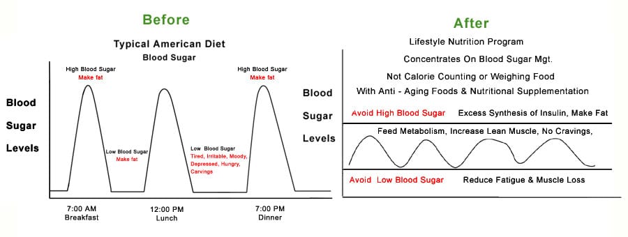 Lifestyle Nutrition Sample Program