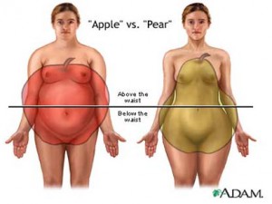 bodyshapes-300×225